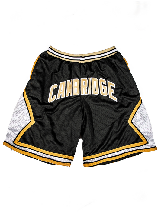 Patrick Ewing Cambridge Shorts